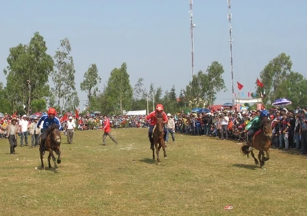 Tưng bừng ngày hội đua ngựa thồ ảnh 7